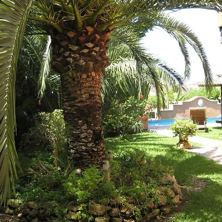 Casa Palmeras (adults Only) Marbella