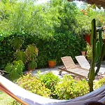 Bed & Breakfast Casa Palmeras (adults Only) Marbella