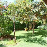Bed & Breakfast Casa Palmeras (adults Only)