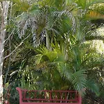 Casa Palmeras (adults Only) 3* Marbella