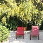 Casa Palmeras (adults Only) Bed & Breakfast