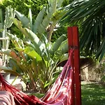 Casa Palmeras (adults Only) Bed & Breakfast Marbella