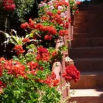 Bed & Breakfast Casa Palmeras (adults Only) Marbella