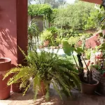 Bed & Breakfast Casa Palmeras (adults Only)