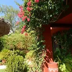 Casa Palmeras (adults Only) Bed & Breakfast Marbella