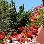 Bed & Breakfast Casa Palmeras (adults Only)