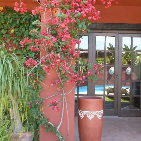Alojamento de Acomodação e Pequeno-almoço Casa Palmeras (adults Only) 3*