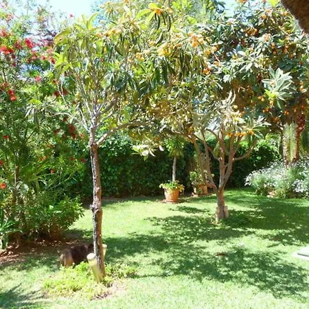 Alojamento de Acomodação e Pequeno-almoço Casa Palmeras (adults Only)