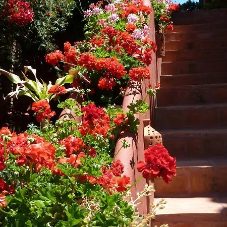 Alojamento de Acomodação e Pequeno-almoço Casa Palmeras (adults Only) Marbella