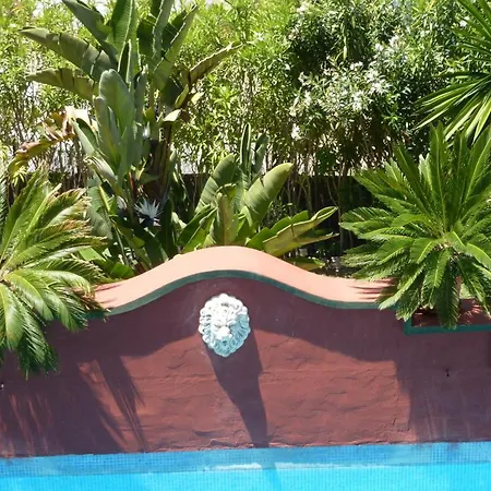 Bed and breakfast Casa Palmeras (adults Only)