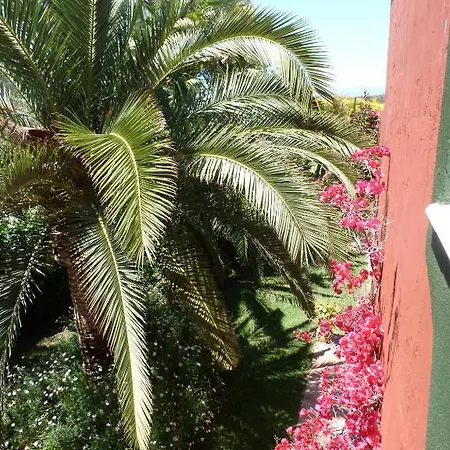 Casa Palmeras (adults Only) Alojamento de Acomodação e Pequeno-almoço Marbella