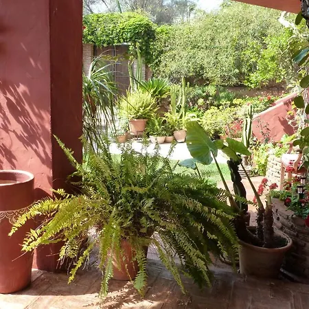 Alojamento de Acomodação e Pequeno-almoço Casa Palmeras (adults Only)
