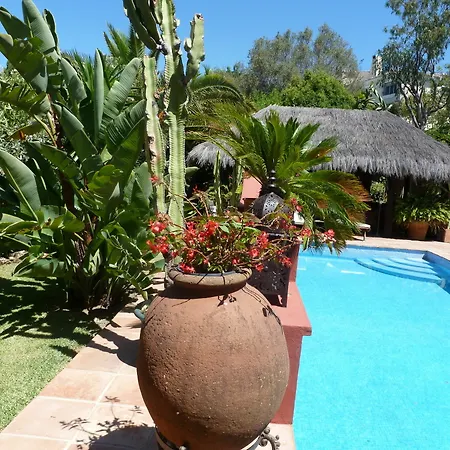 Casa Palmeras (adults Only) Alojamento de Acomodação e Pequeno-almoço
