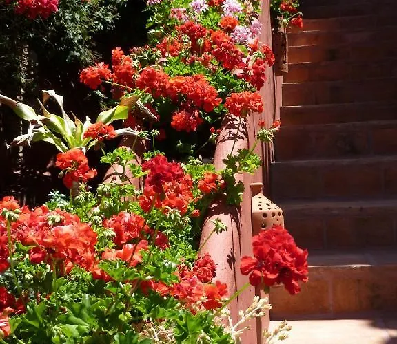 Bed and breakfast Casa Palmeras (adults Only) Marbella