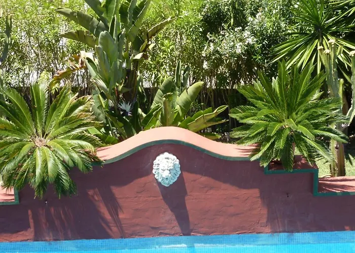 Bed and breakfast Casa Palmeras (adults Only)