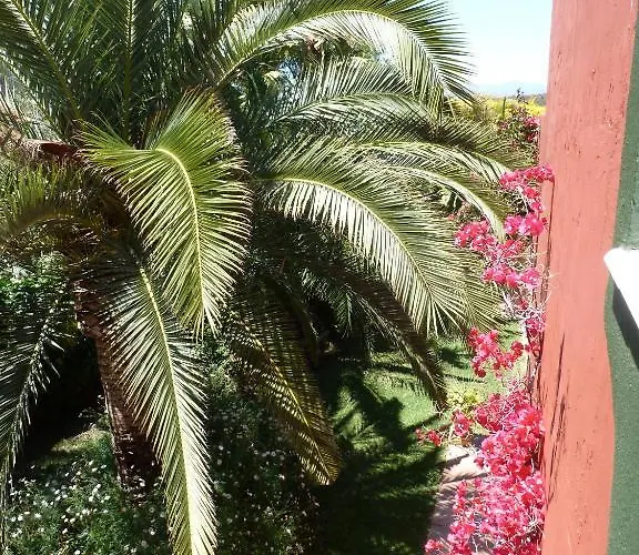 Casa Palmeras (adults Only) Bed and breakfast Marbella