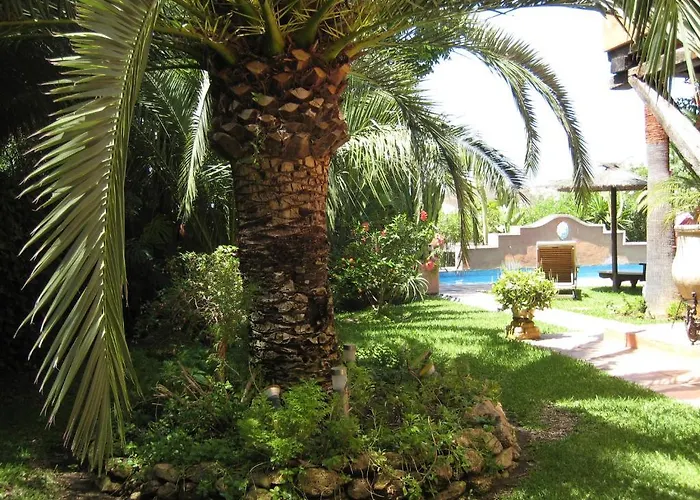 Casa Palmeras (adults Only) Marbella