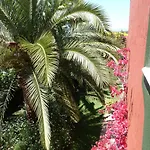 Casa Palmeras (adults Only) Alojamento de Acomodação e Pequeno-almoço Marbella