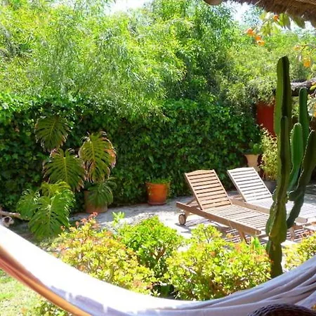 Hotel Casa Palmeras (adults Only) Marbella