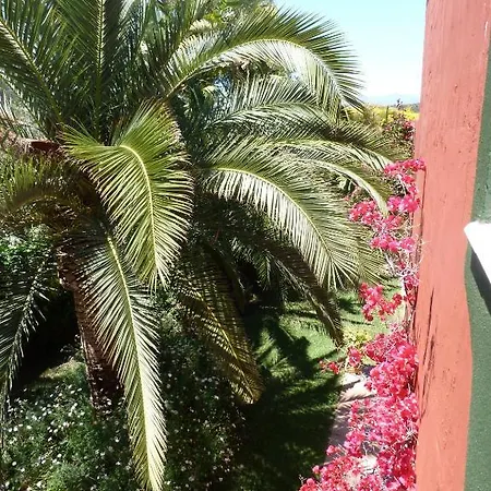 Casa Palmeras (adults Only) Hotel Marbella