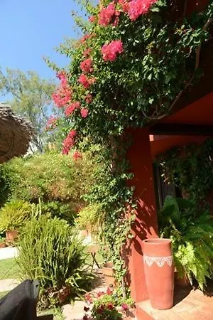 Casa Palmeras (adults Only) Hotel Marbella
