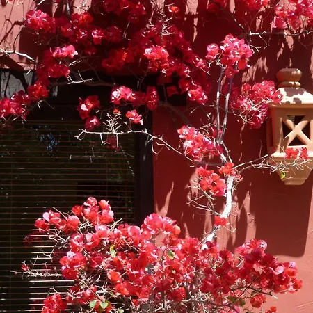 Casa Palmeras (adults Only) Marbella